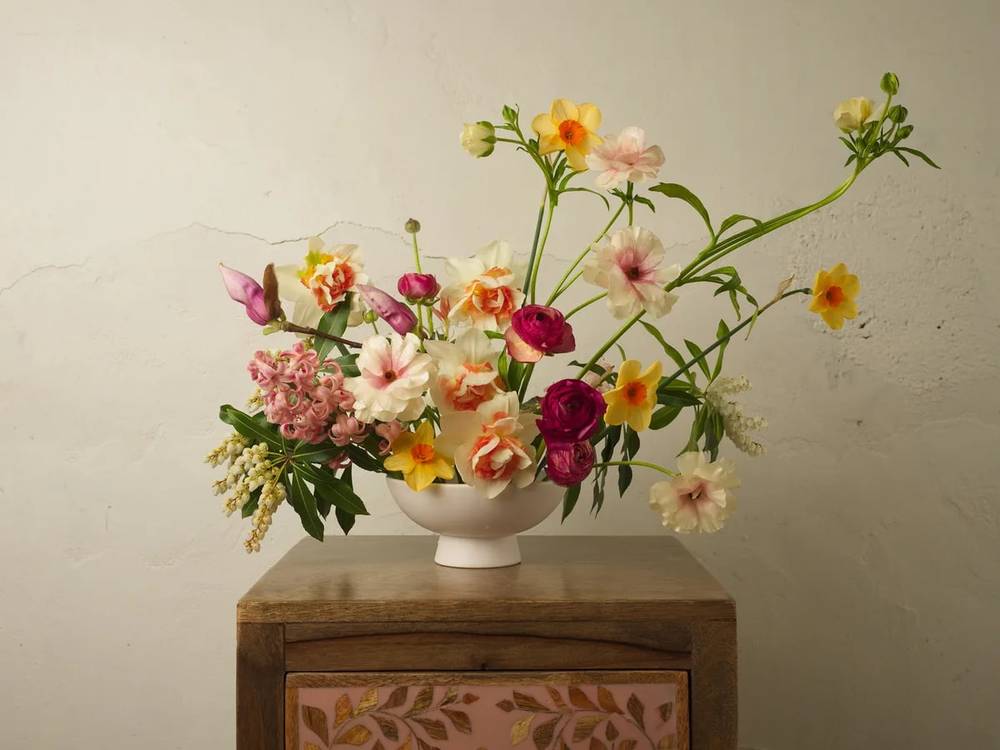 A spirited floral composition cascades from a matte white ceramic bowl, positioned on a weathered wooden chest adorned with hand-painted botanical motifs. The arrangement pulses with Oregon's spring palette—burgundy ranunculus nestle against coral-tinged daffodils, while pale pink cosmos and cream blooms create luminous counterpoints. Graceful stems of jasmine and delicate buds extend beyond the vessel's rim, their organic curves softened by gentle natural light that bathes the textured plaster wall behind.