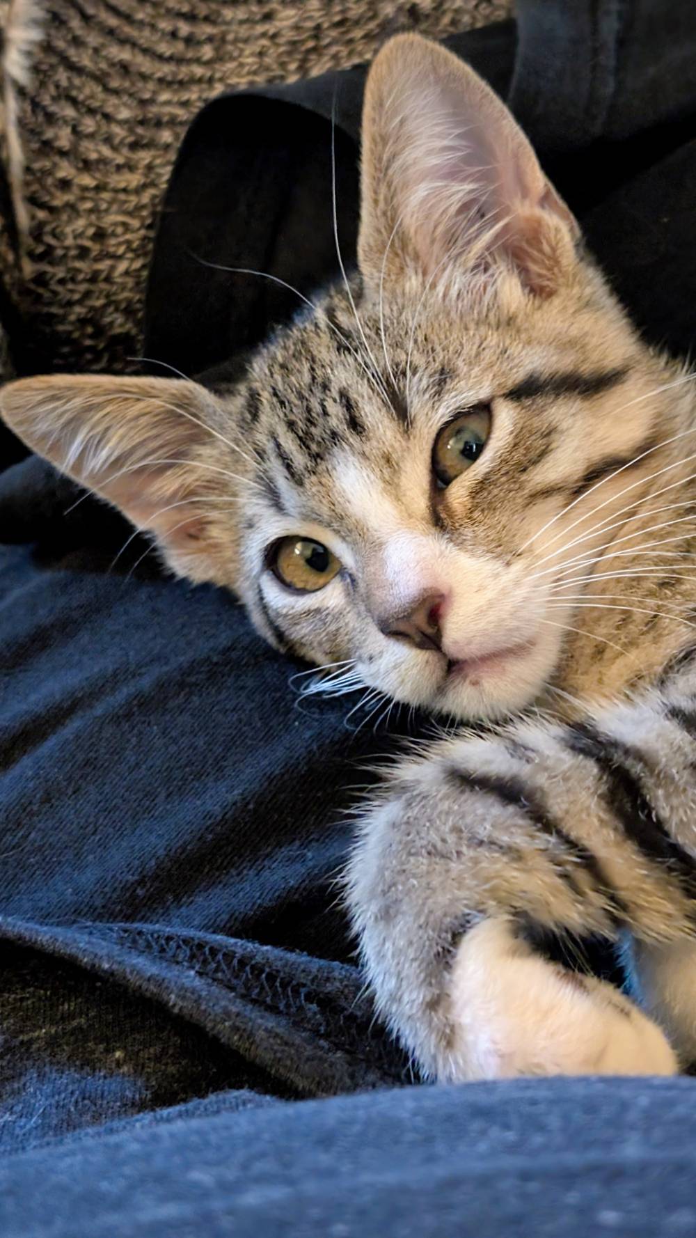 Seymour