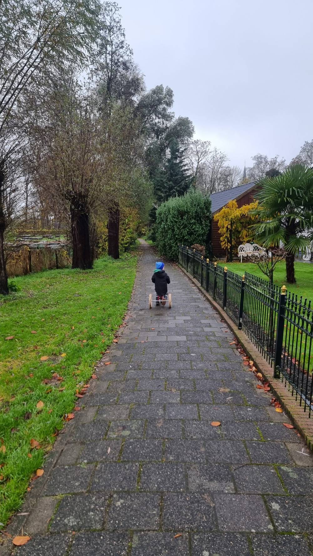 A child is riding a small bicycle along a quiet, tree-lined pathway bordered by a garden with a metal fence and a white house.

