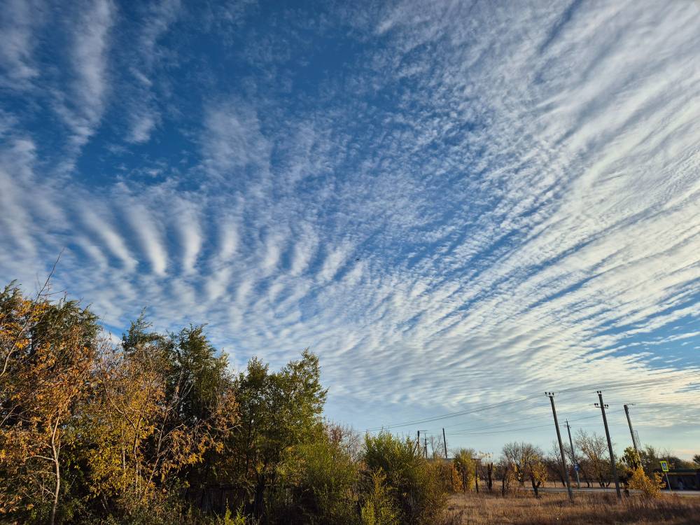 Cirrocumulus clouds