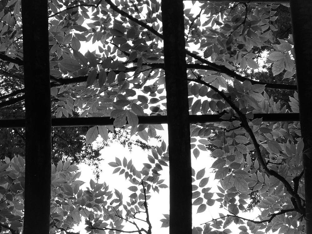 above #campsnap