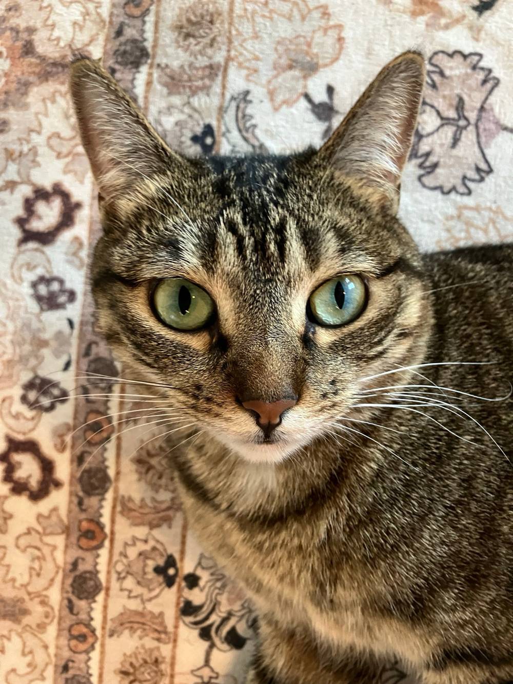 Coco