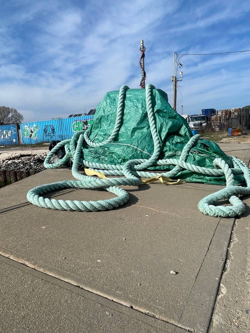 🐙