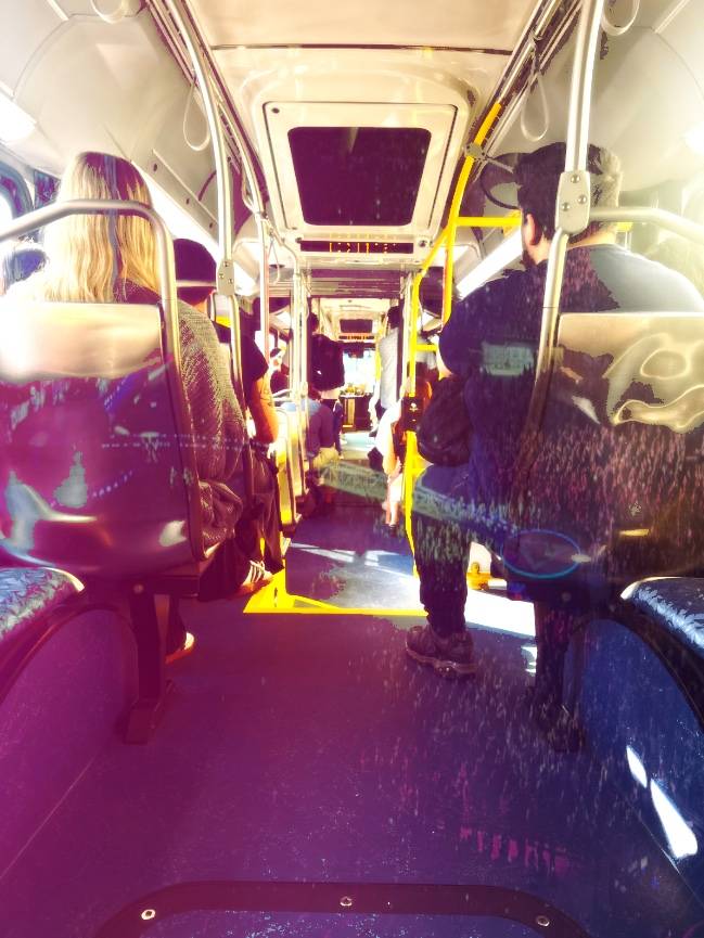 Get jobs in offices and wake up for the morning commute
