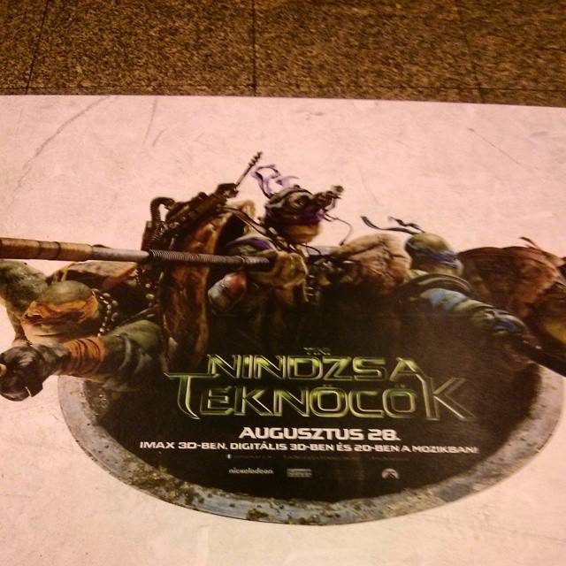 Aug 21, 2014, photo 1 of 1