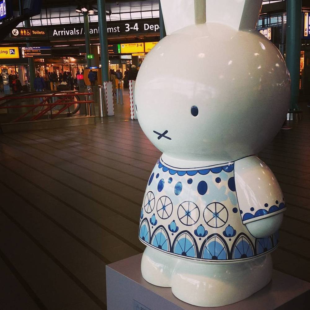 My favorite rabbit
