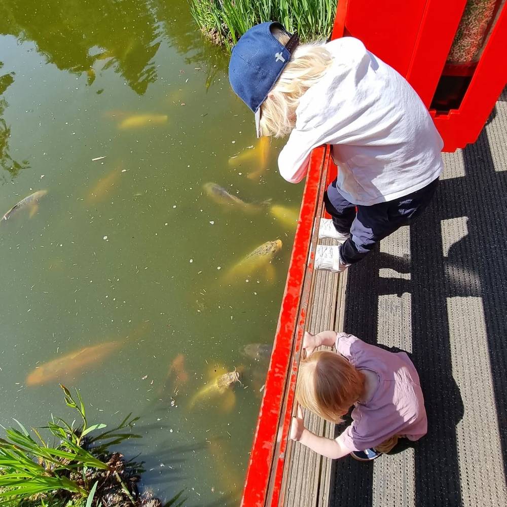 Two children leaning over a red railing to look at fish swimming in a pond.