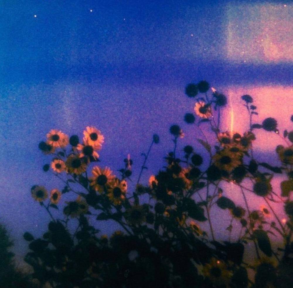 Quiet evenings , photo 1 of 1