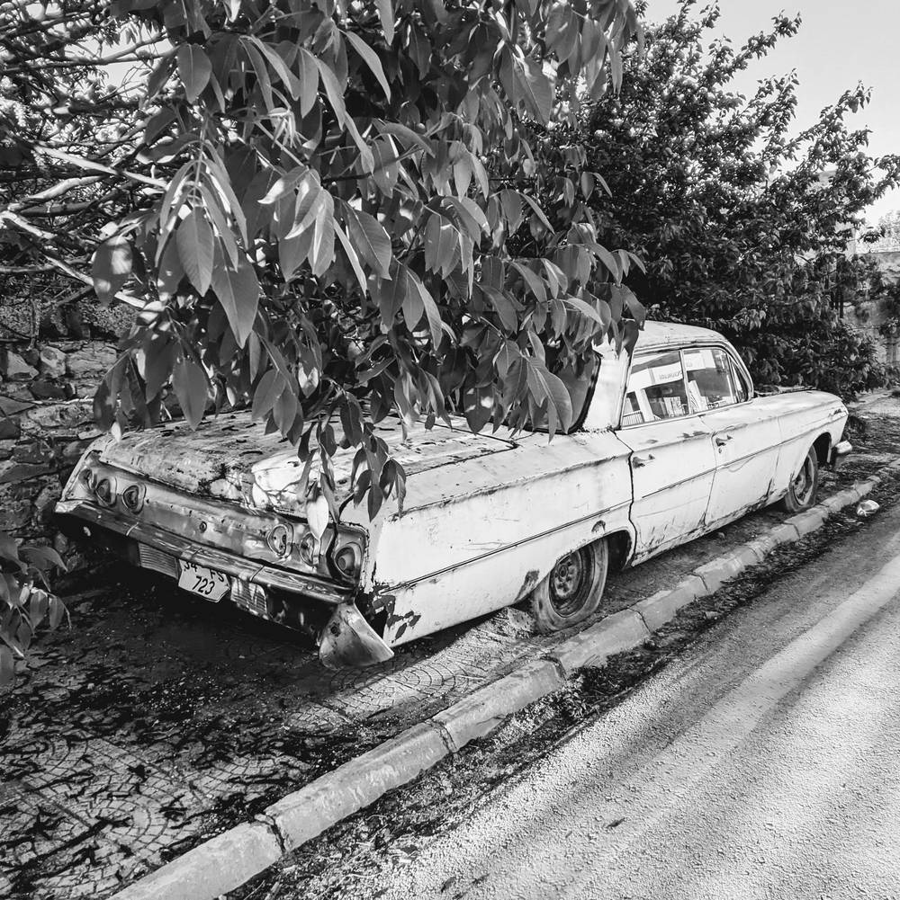 Rust eats the chrome while the tree takes the rest