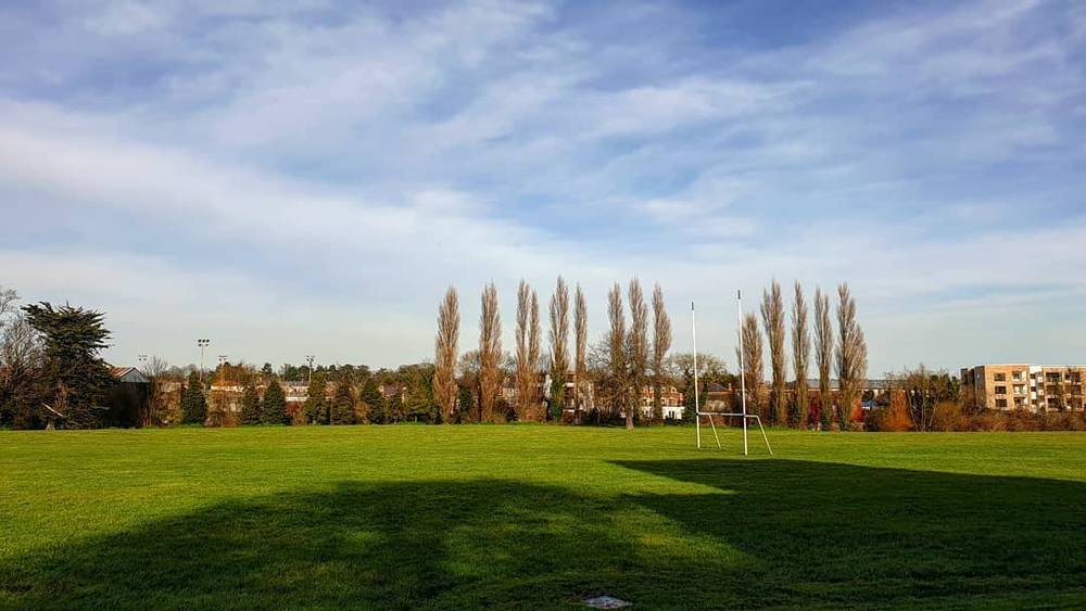 An empty rugby pitch with goal posts, bordered by bare trees under a blue sky.