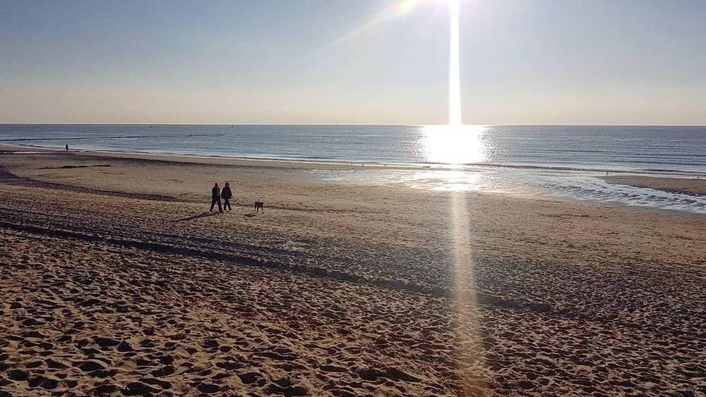 Sunlight beaming down onto a beach where two people are walking a dog.