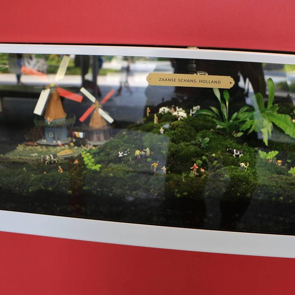 A miniature diorama of Zaanse Schans windmills displayed in a museum case.