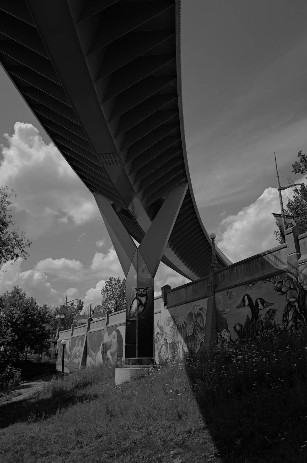 Under the bridge