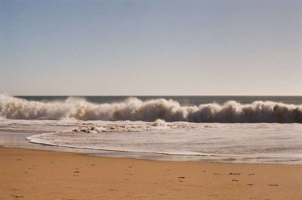 Point Reyes, photo 2 of 2