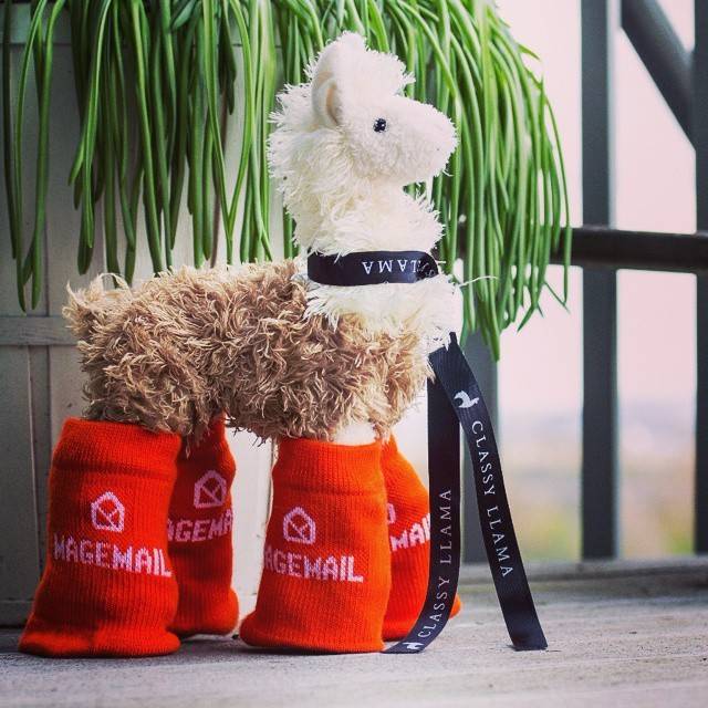 A small plush llama toy wearing red knitted boots branded 'Wagemail' and a 'Classy Llama' ribbon.