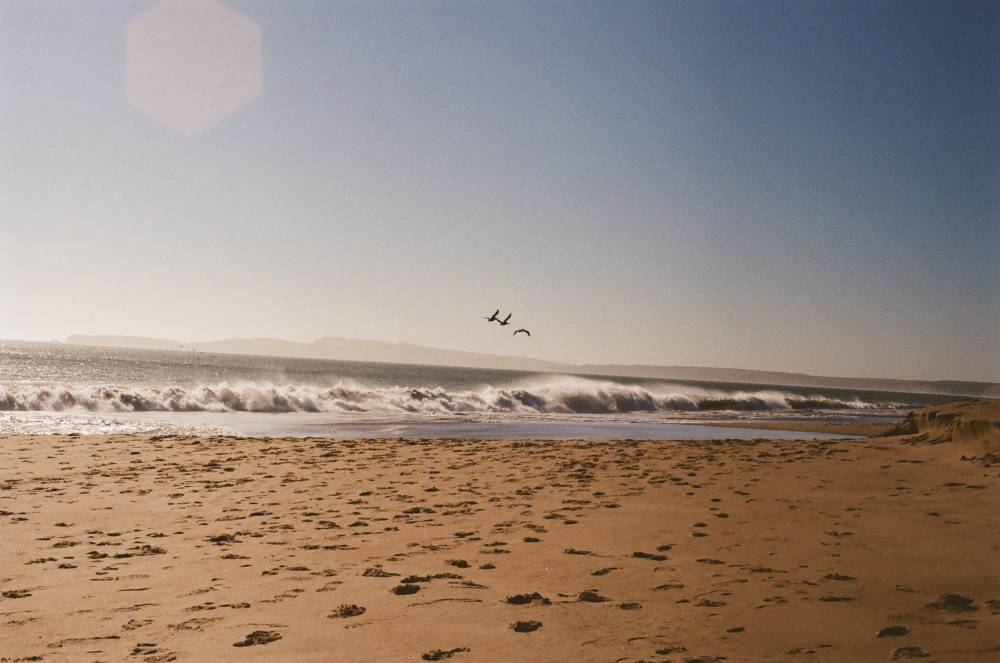 Point Reyes