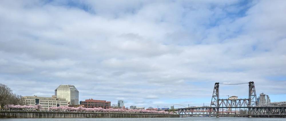 Cherry Blossoms Frame Portland's Industrial Riverfront