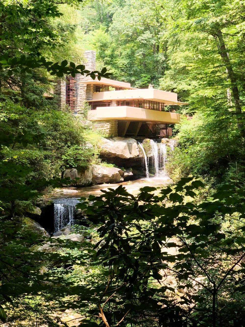 Falling Water - 2022