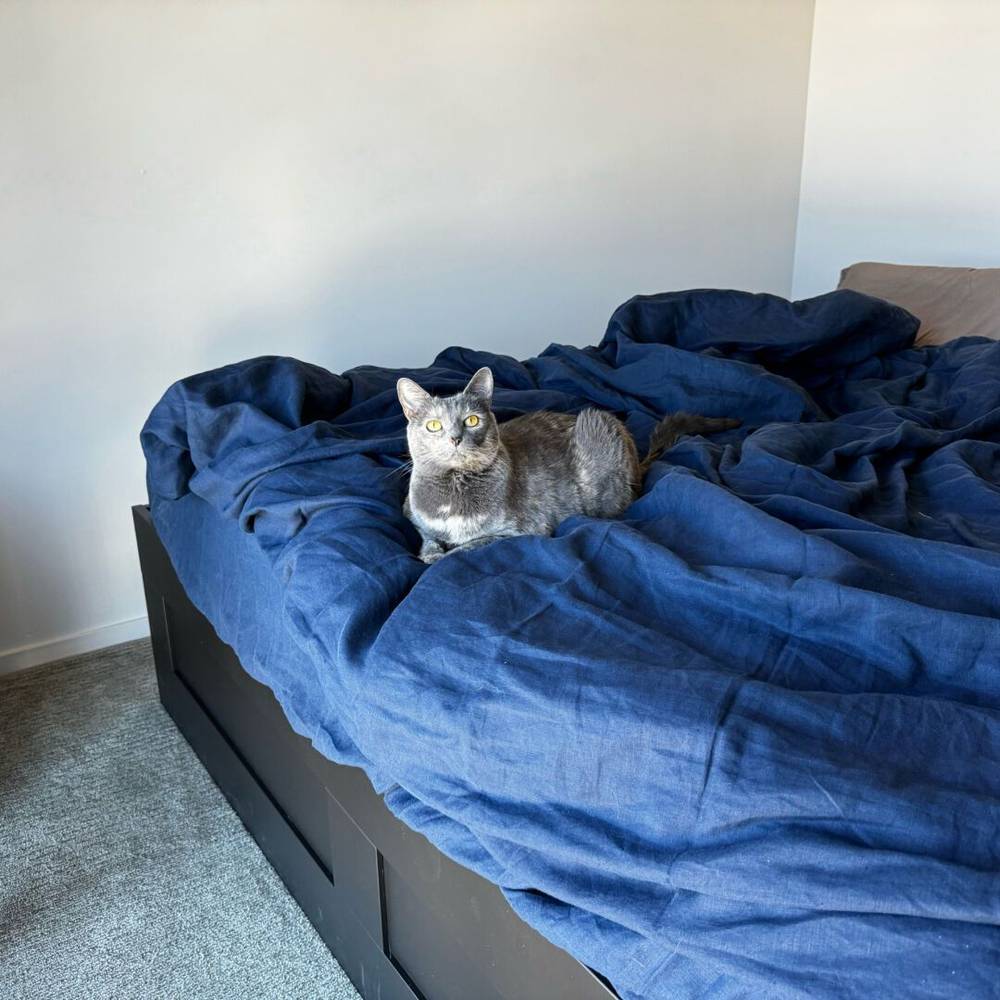 kitty got a bigger bed