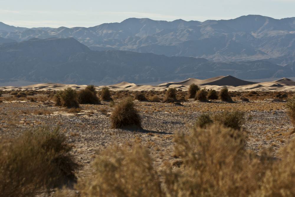 Wide sand dunes stretch across the desert floor beneath distant mountains.