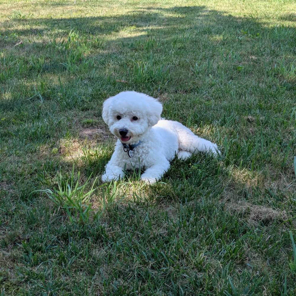 I miss running around in Grandma's backyard 😭 can't wait to visit again., photo 1 of 1