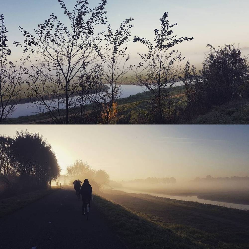 Misty Monday Mornings