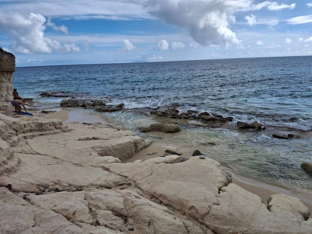 go vegan
grey clouds above beach 