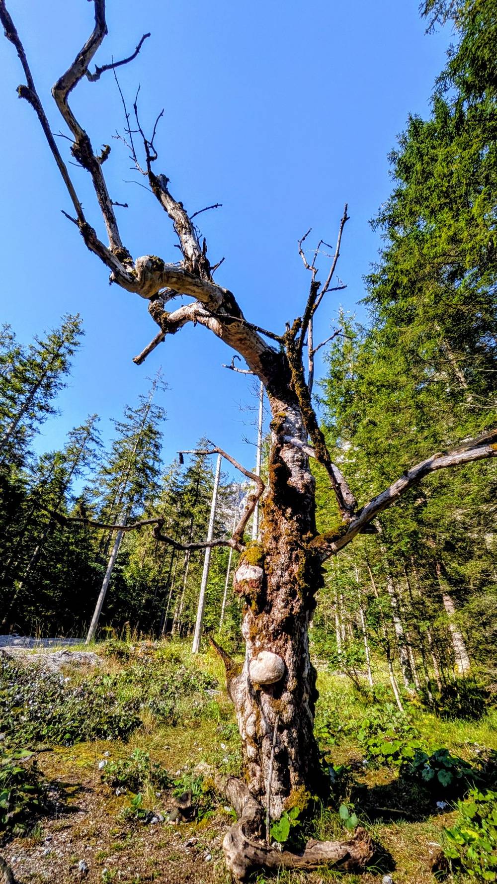 Ramsau, photo 2 of 8