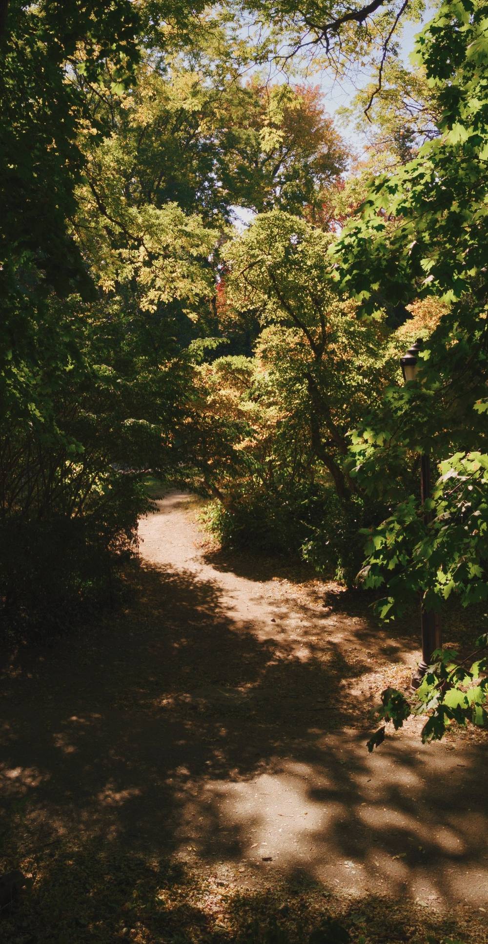 Trails