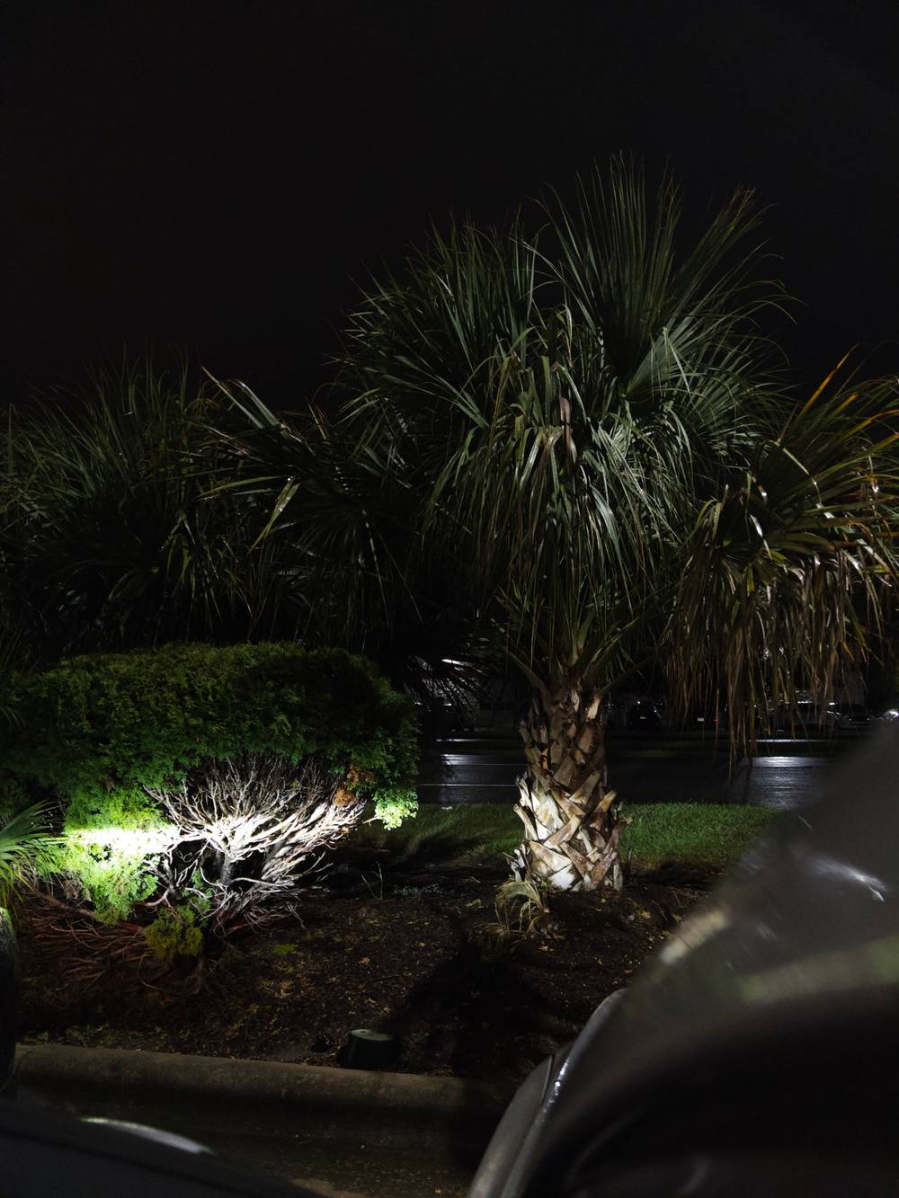 rainy haze, photo 2 of 5