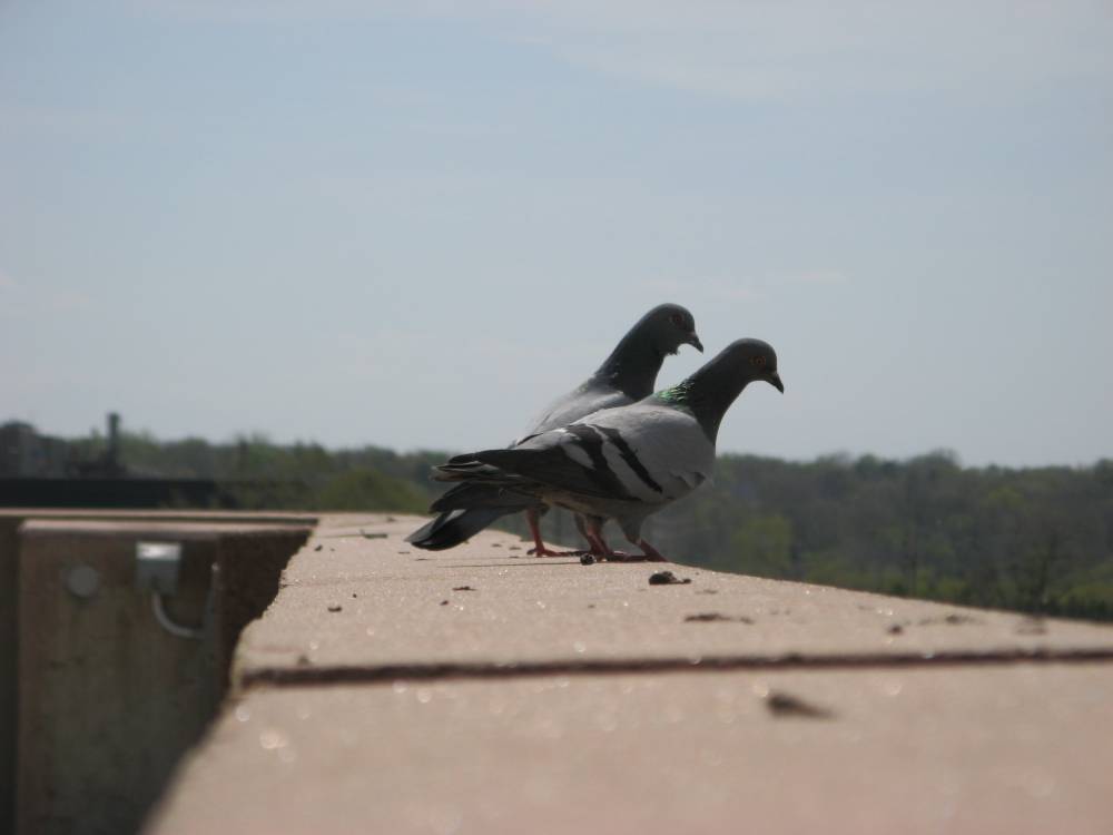 Around the James W. Rutherford Parking Structure in Flint, MI