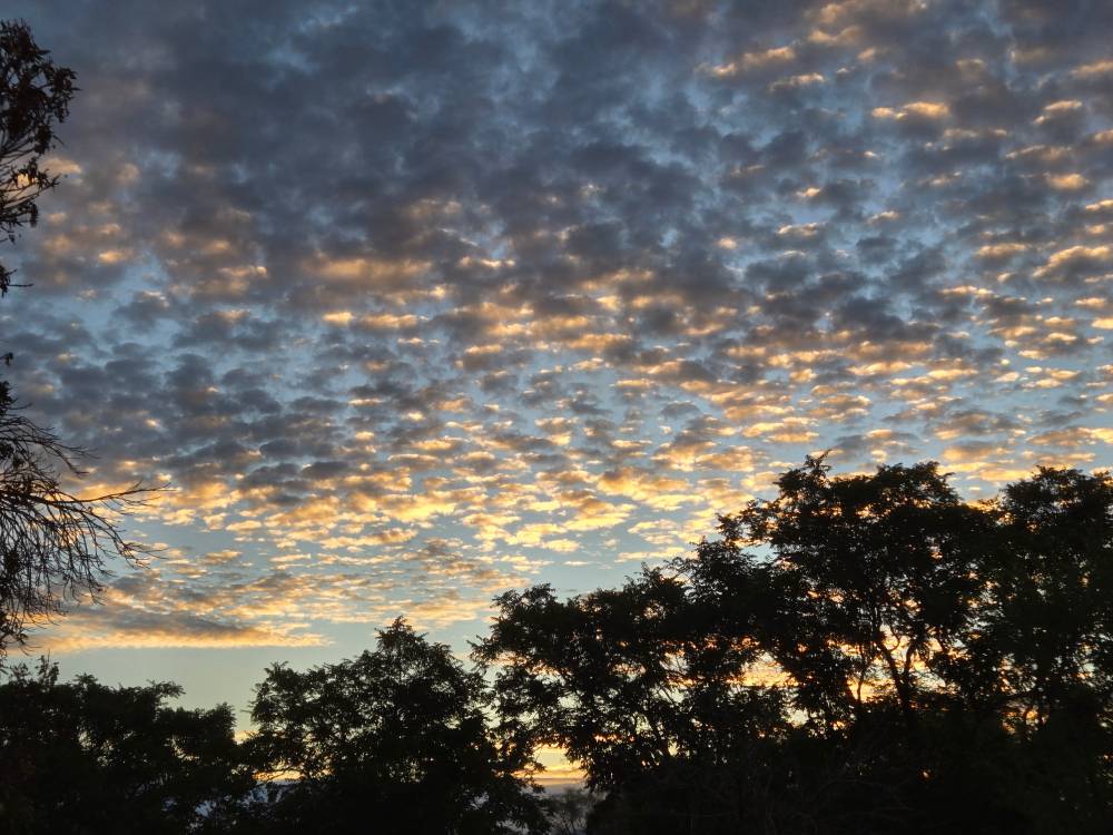 Morning clouds