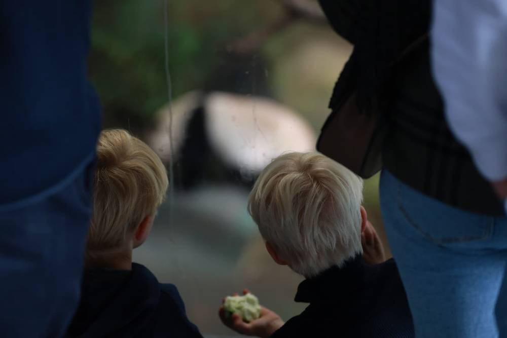 Day at the zoo