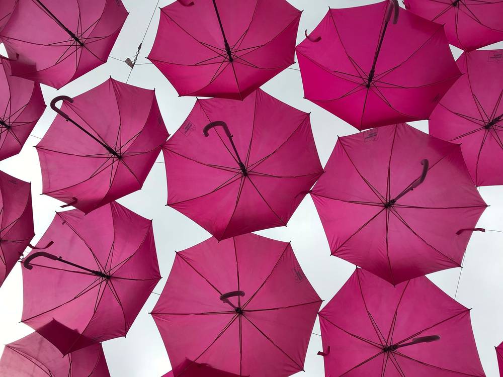 Strange Umbrellas, photo 1 of 1