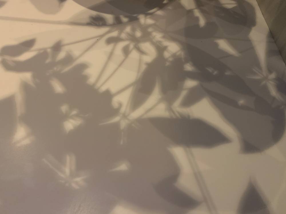 Shadows, photo 2 of 3