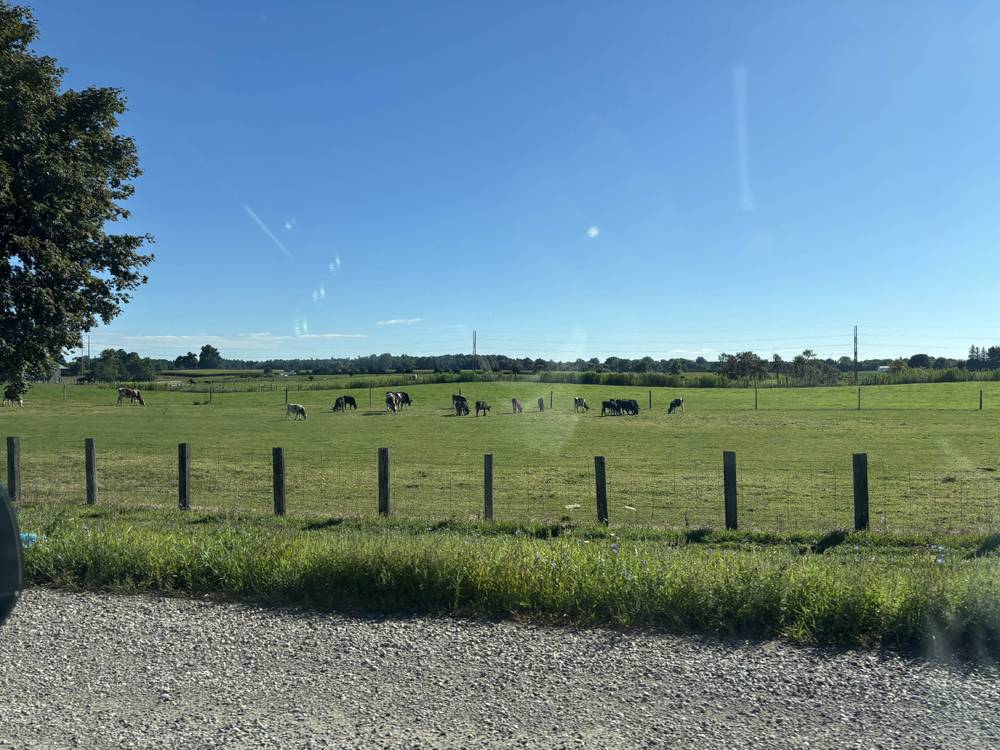 a busy long weekend