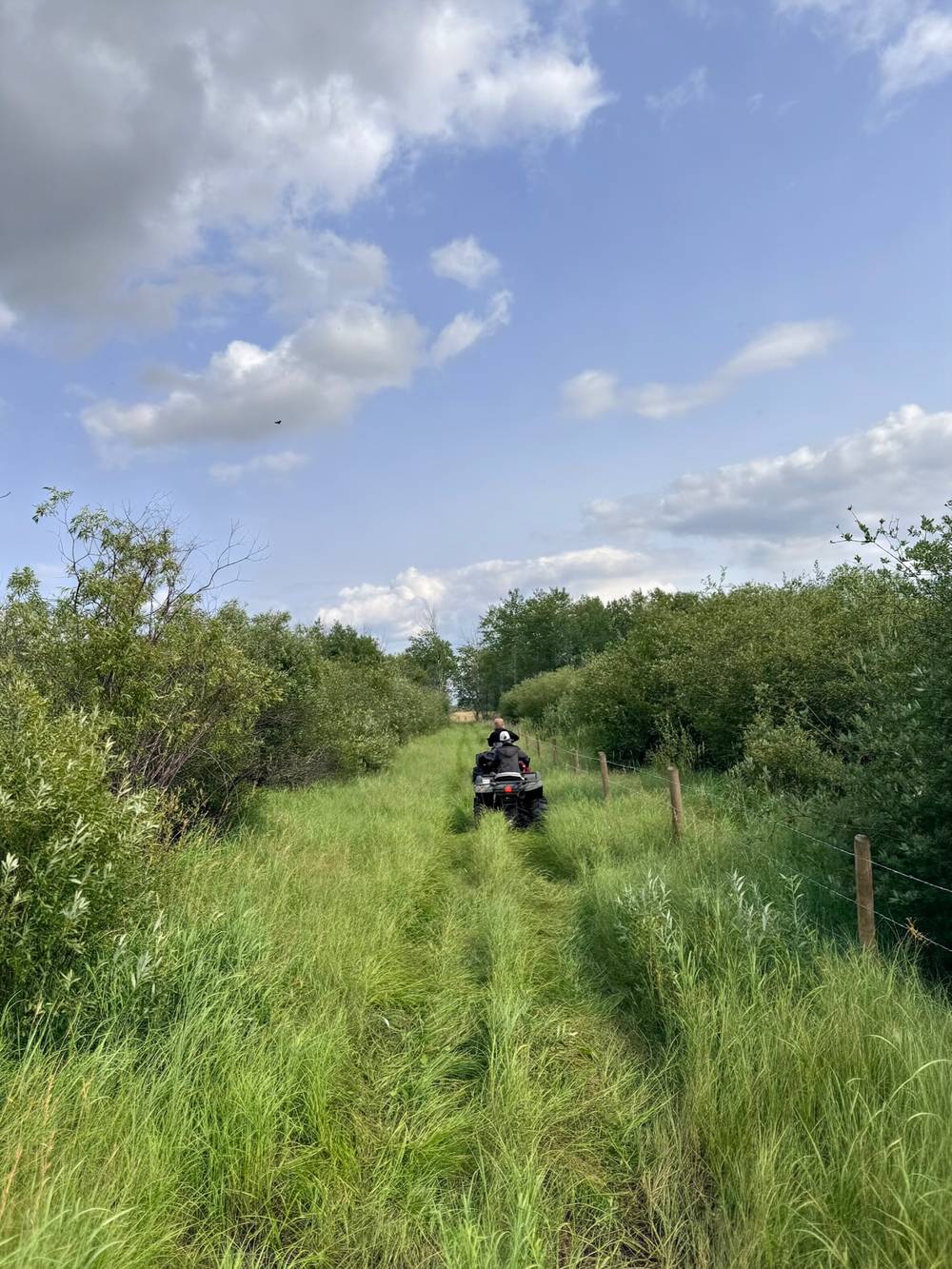 Out for a rip 