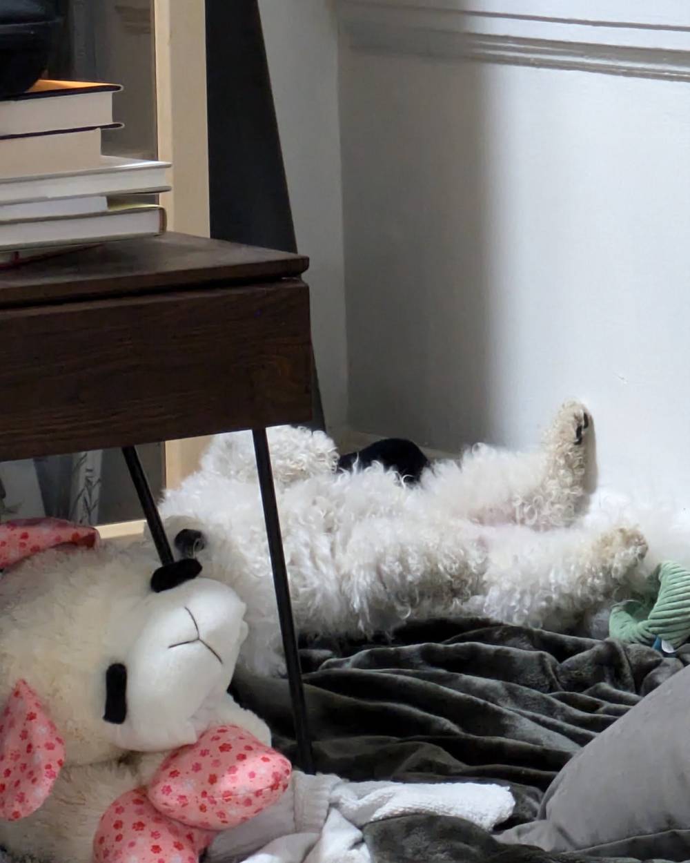 Having a nap in my new favorite nap corner.