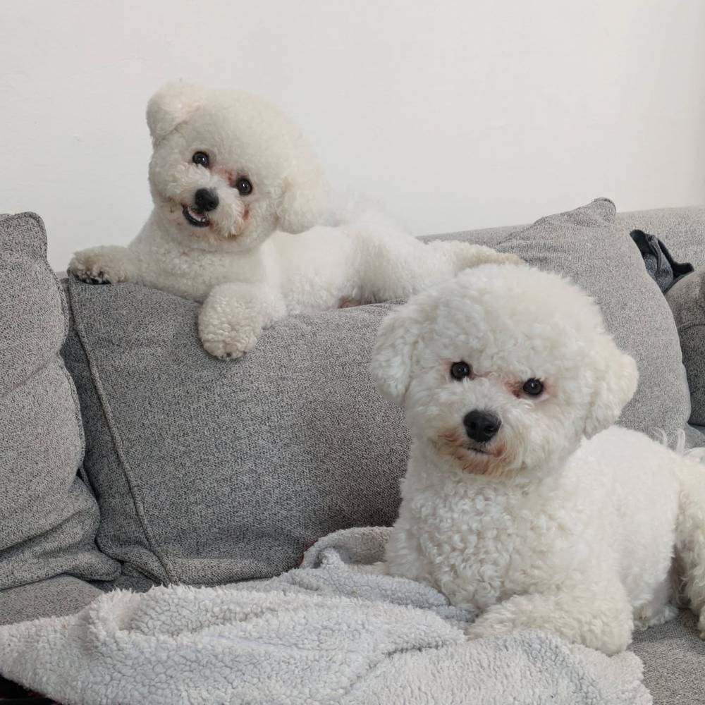 Good morning! We've only done 2 bad things this morning.