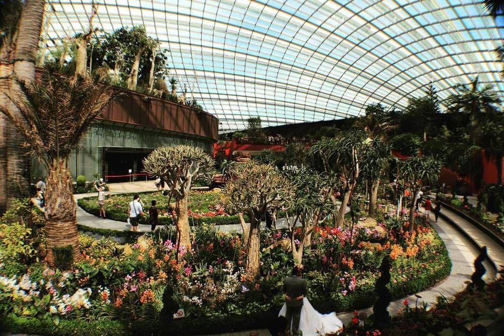 A landscaped garden with palm trees and flowerbeds inside a glass conservatory.