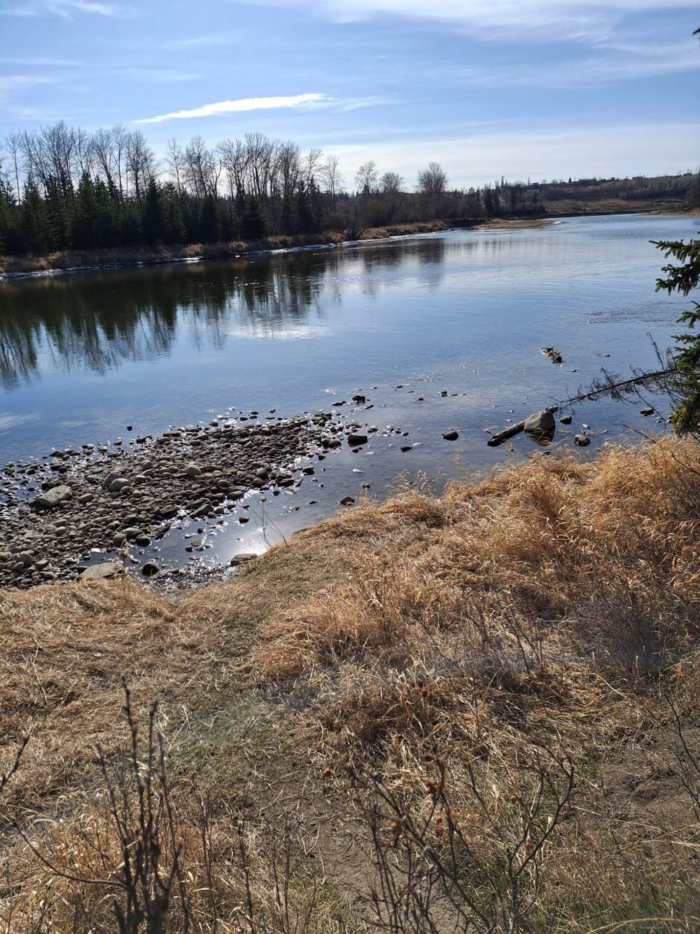 A blue sky above a steady river. The shoreline is rocky and scattered with brown brush.