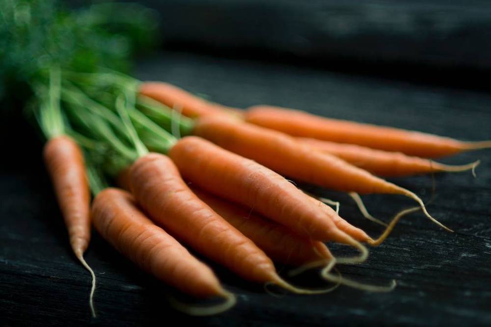 A bunch of fresh carrots with green tops on a dark surface.