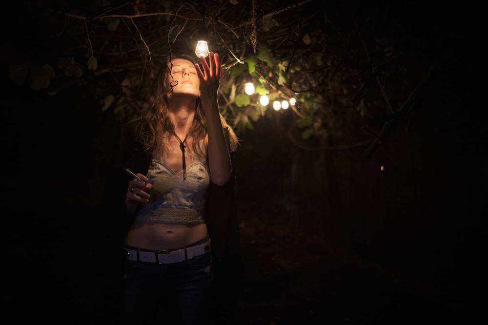 Illuminated Moment in Portland's Night Garden