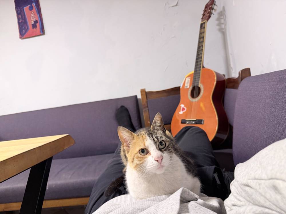 Once again posting pussy pics
