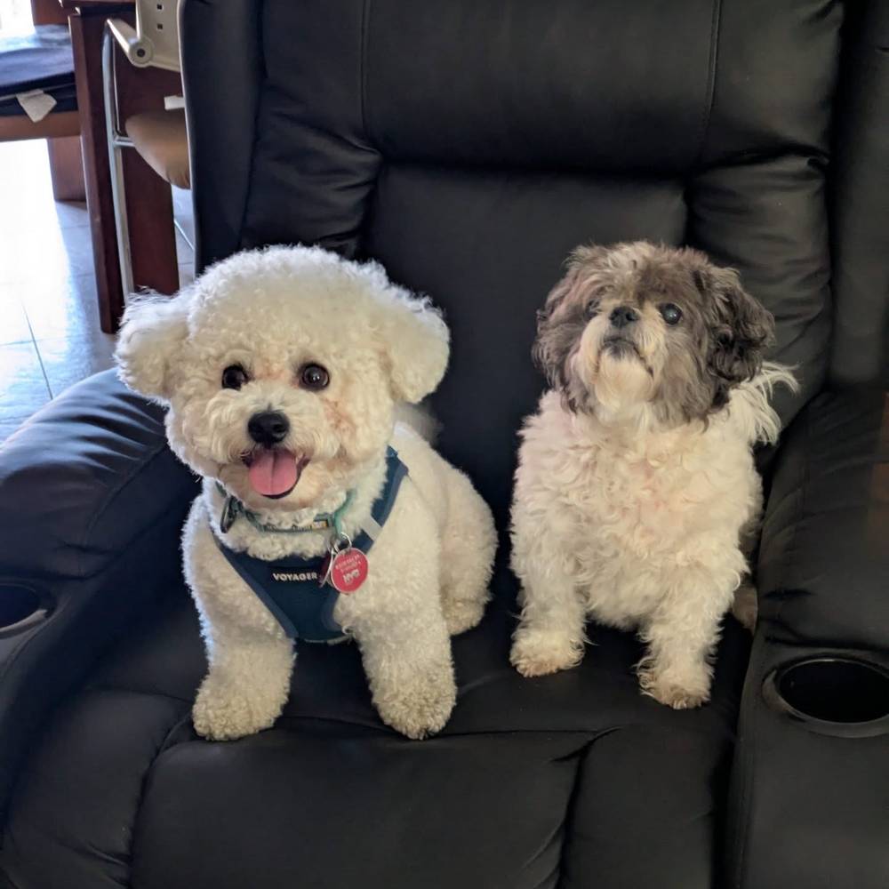 I had so much fun today at my play date with Zaphira 💕🥰 can't wait to see her again 😍, photo 1 of 2