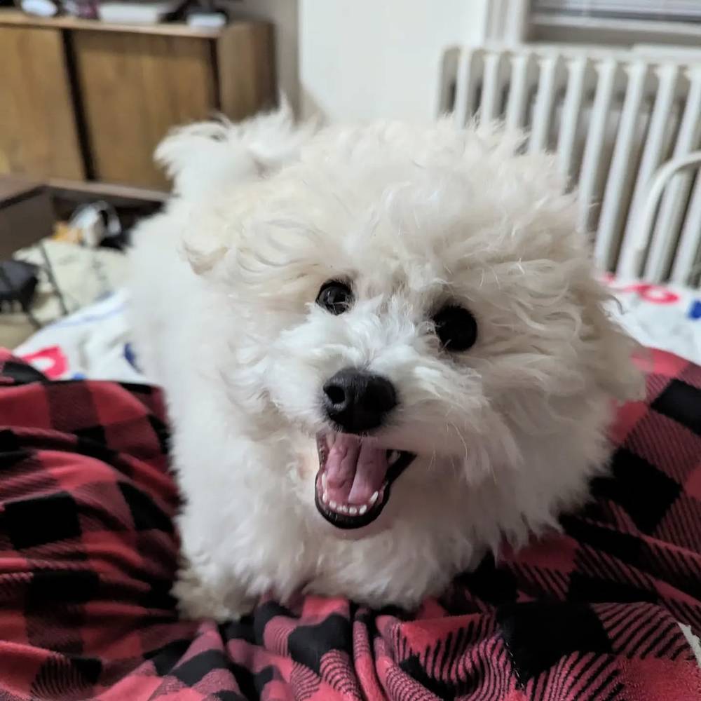 Always happy!