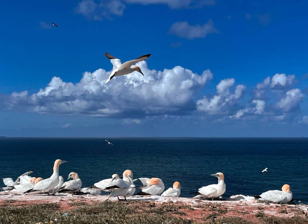 A Perfect Day to Fly