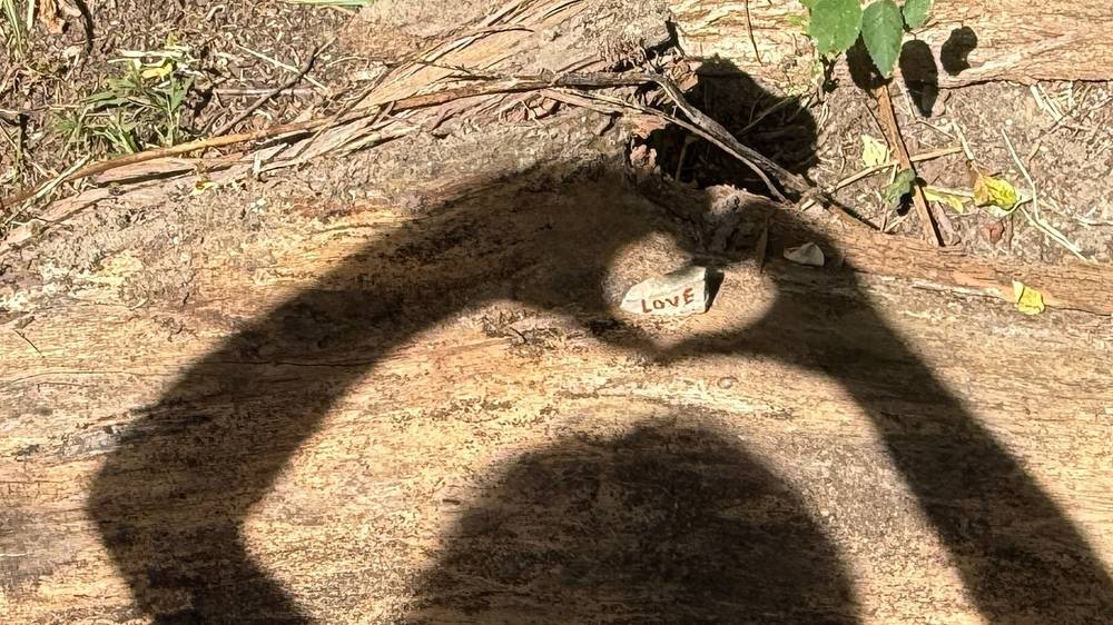 A small rock with the word "Love" scrawled in red marker. It's sitting on a log, and surrounded by a shadow making the shape of a heart around it.