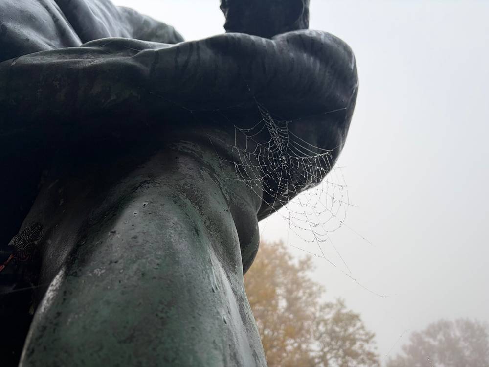 die catcherstatue an der catcherwiese in einer nahaufnahme. man sieht ein spinnennetz das mit morgenreif benetzt ist. man sieht die seite einer der bronzenen catcherstatue.catcherfiguren