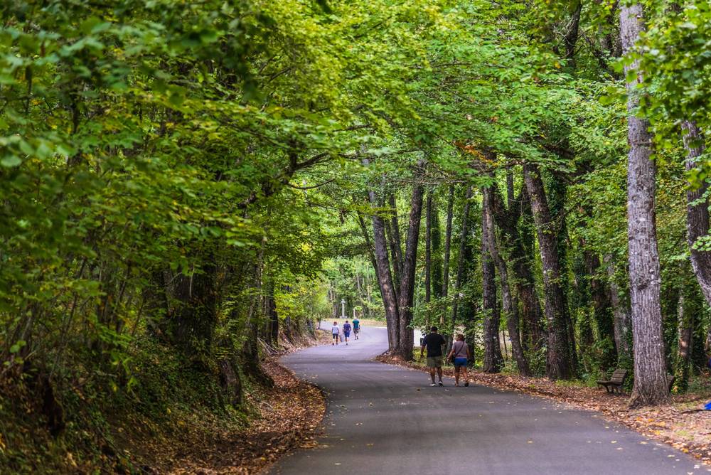 Camino de San Pedro